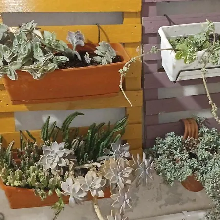 Casa Ierone L'etneo *