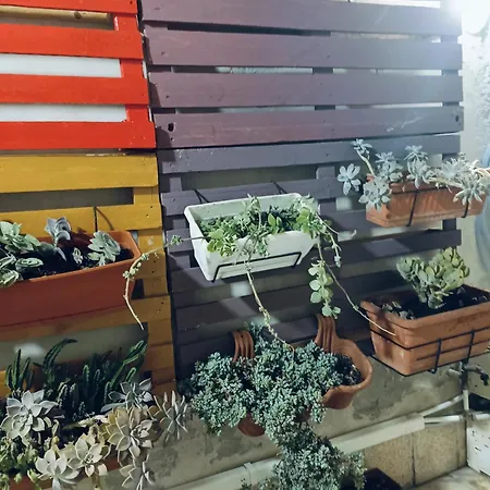 Casa Ierone L'etneo شقة